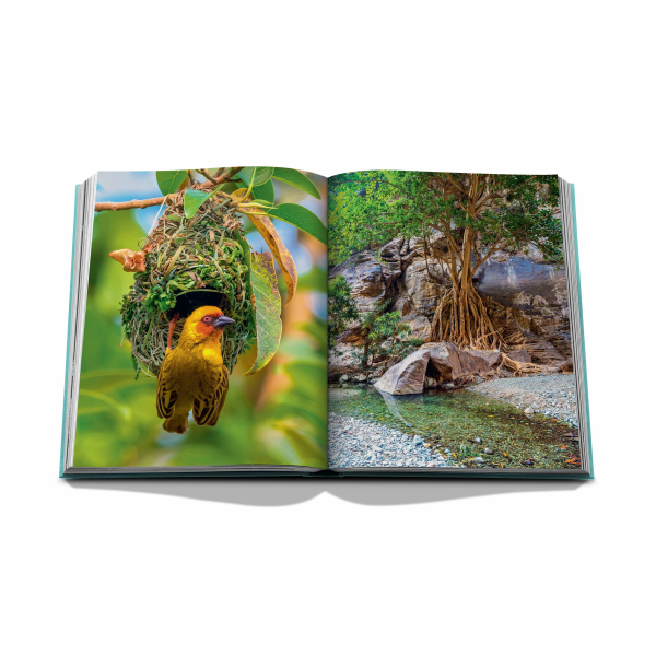 ASSOULINE | Assouline | Koffietafelboek | Red Sea: The Saudi Coast