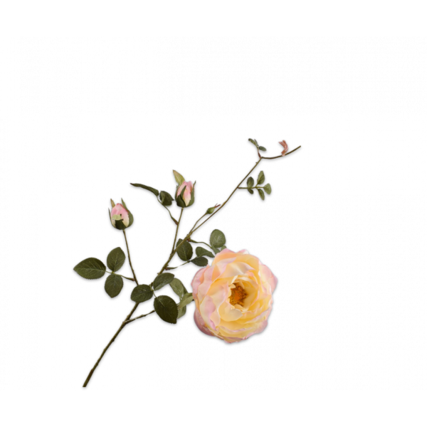 SILK-KA | Silk-ka | Roos Tak Roze/Geel | 80cm