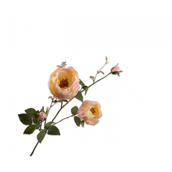 SILK-KA | Silk-ka | Roos Tak Roze/Geel | 102cm