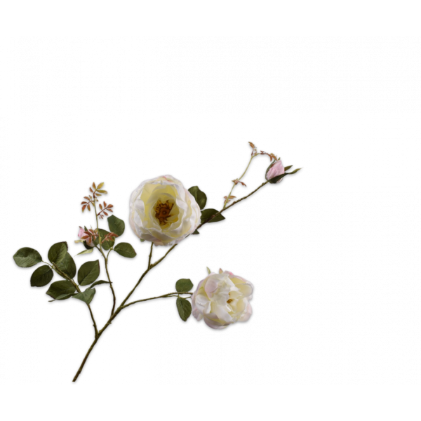 SILK-KA | Silk-ka | Roos Tak Wit | 102cm