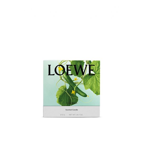 LOEWE | Loewe | Cucumber | Geurkaars | S