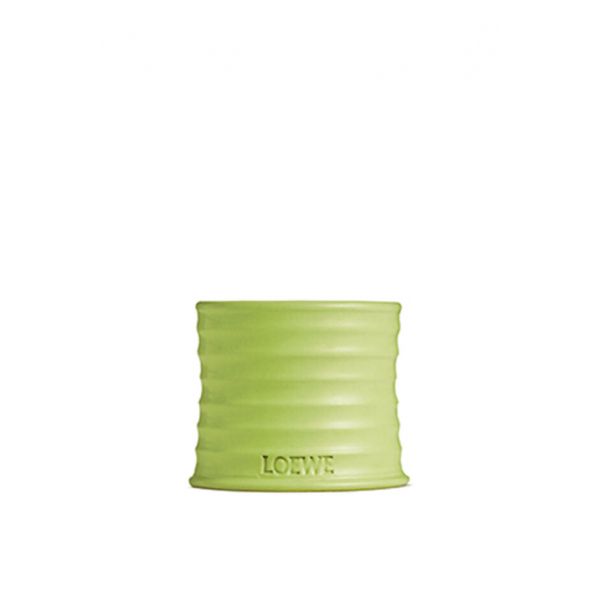 LOEWE | Loewe | Cucumber | Geurkaars | S