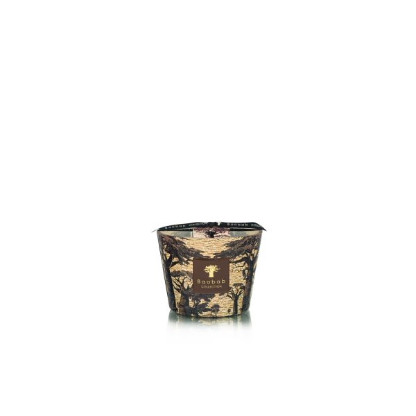BAOBAB COLLECTION | Baobab Collection FW25 | Sacred Trees | Mankono | Geurkaars