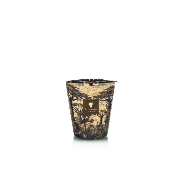 BAOBAB COLLECTION | Baobab Collection FW25 | Sacred Trees | Mankono | Geurkaars