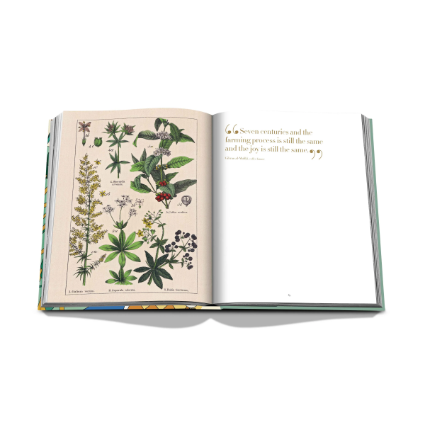 ASSOULINE | Assouline | Koffietafelboek | Saudi Coffee: The Culture of Hospitality 