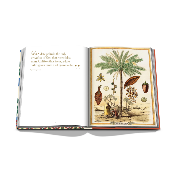 ASSOULINE | Assouline | Koffietafelboek | Saudi Dates: A Portrait of the Sacred Fruit