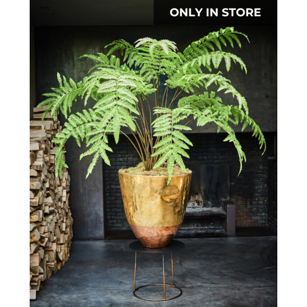 SILK-KA | Silk-ka | Plant Varen Groen | 185 cm