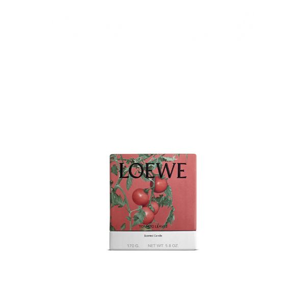 LOEWE  | Loewe | Tomato Leaves | Geurkaars | S