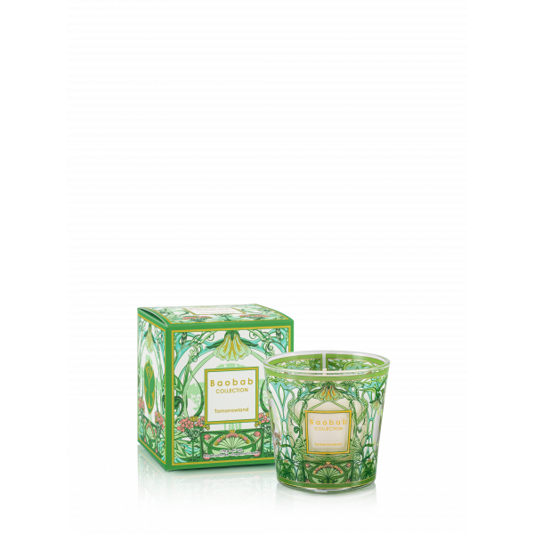 Baobab Collection | Giftbox | My first Baobab | Tomorrowland