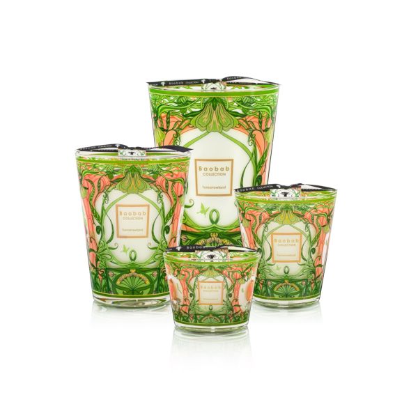 BAOBAB COLLECTION | Baobab Collection | Tomorrowland | Limited Edition 