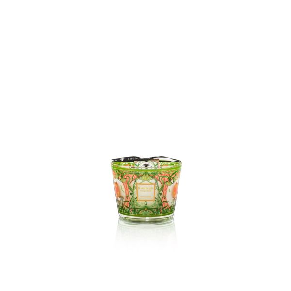 BAOBAB COLLECTION | Baobab Collection | Tomorrowland | Limited Edition 