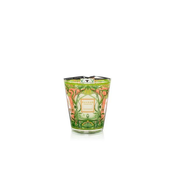 BAOBAB COLLECTION | Baobab Collection | Tomorrowland | Limited Edition 
