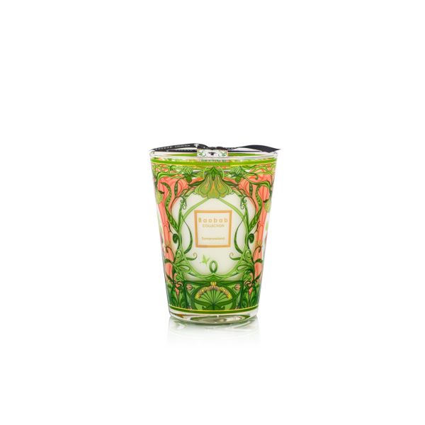 BAOBAB COLLECTION | Baobab Collection | Tomorrowland | Limited Edition 