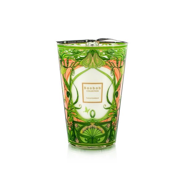 BAOBAB COLLECTION | Baobab Collection | Tomorrowland | Limited Edition 