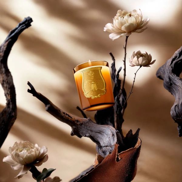 TRUDON | Trudon | Altaïr | Classic | Geurkaars