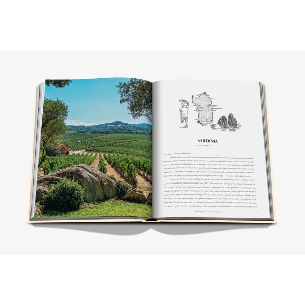 ASSOULINE | Assouline | Koffietafelboek | Wine and Travel | Mediterranean