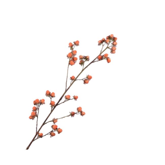 SILK-KA | Silk-ka | Bramen Tak Oranje | 113cm