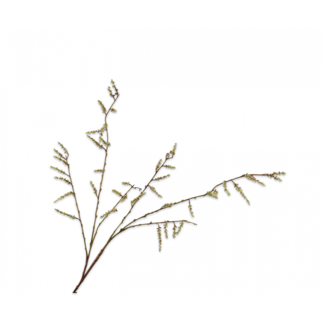 SILK-KA | Silk-ka | Wilgentak Groen | 127cm