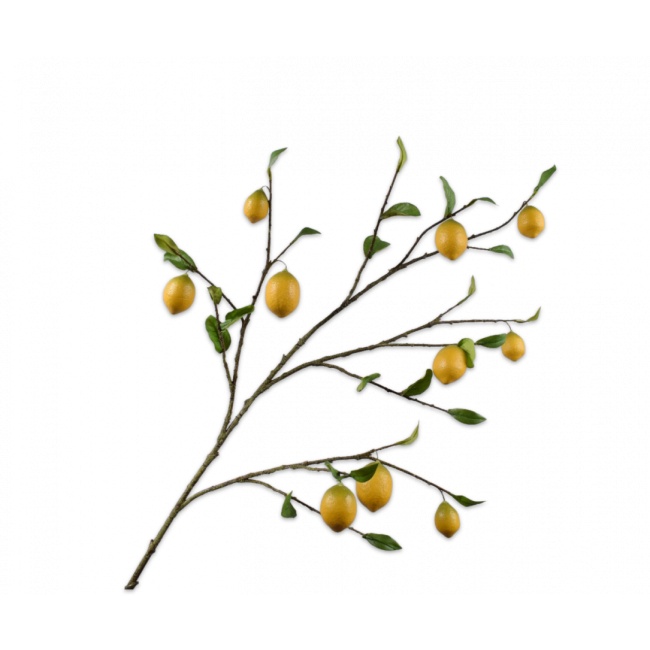 SILK-KA | Silk-ka | Citroen Tak | 124 cm