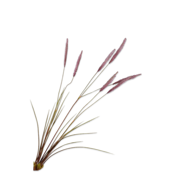 SILK-KA | Silk-ka | Gras tak | Groen / Bruin | 101cm