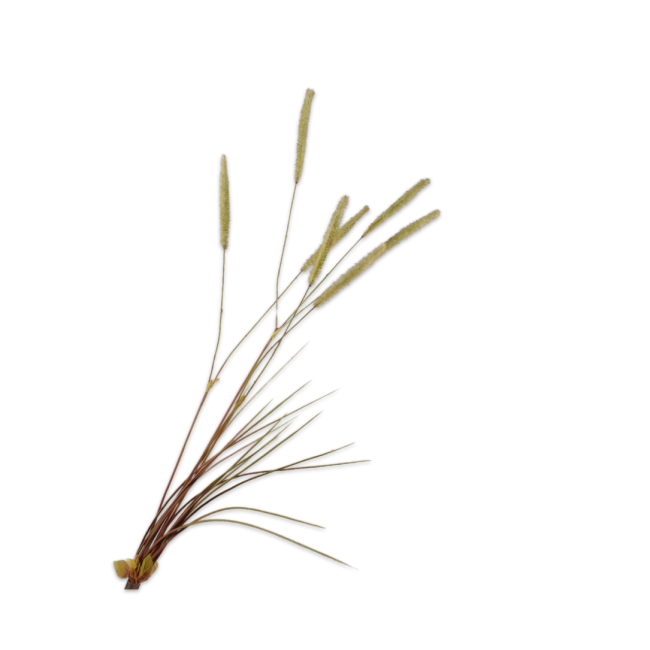 SILK-KA | Silk-ka | Gras tak | Groen | 101cm