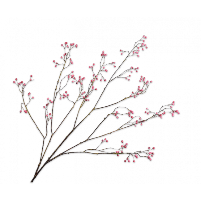 SILK-KA | Silk-ka | Bessentak | Roze | 133 cm