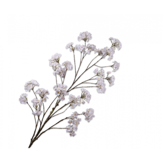 SILK-KA | Silk-ka | Bloesem Tak Creme | 184 cm