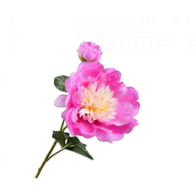 SILK-KA | Silk-ka | Pioen Tak | Beauty | 79cm