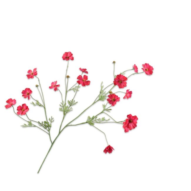 SILK-KA | Silk-ka | Cosmos Tak | Beauty | 104cm