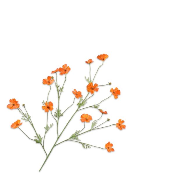 SILK-KA | Silk-ka | Cosmos Tak | Oranje | 104cm
