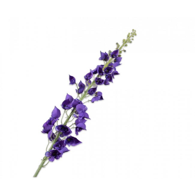 SILK-KA | Silk-ka | Delphinium Tak Paars  | 135 cm