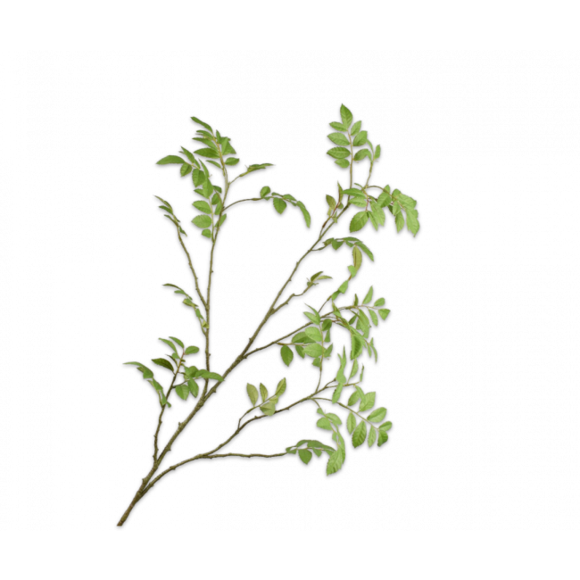 SILK-KA | Silk-ka | Bladtak groen | 119 cm