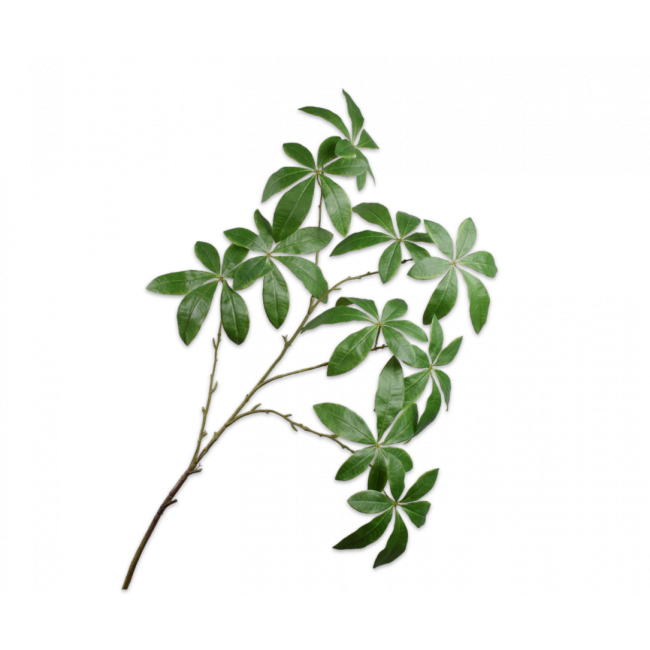 SILK-KA | Silk-ka | Bladtak Groen | 123cm