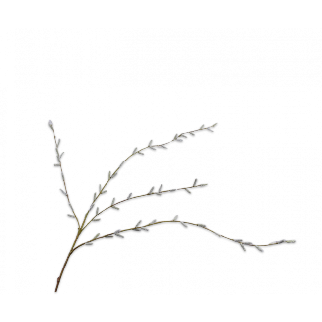 SILK-KA | Silk-ka | Wilgentak | Groen | 122cm