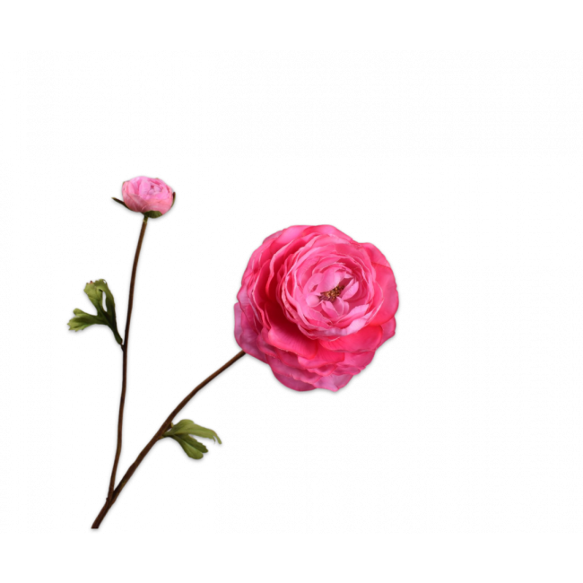 SILK-KA | Silk-ka | Ranonkel tak | Donkerroze | 65cm