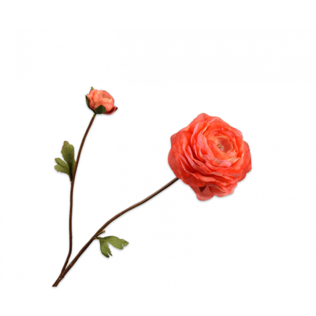 SILK-KA | Silk-ka | Ranonkel Tak | Oranje | 65cm