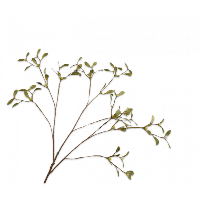 SILK-KA | Silk-ka | Mistletoe Tak | Crème/Groen | 108cm