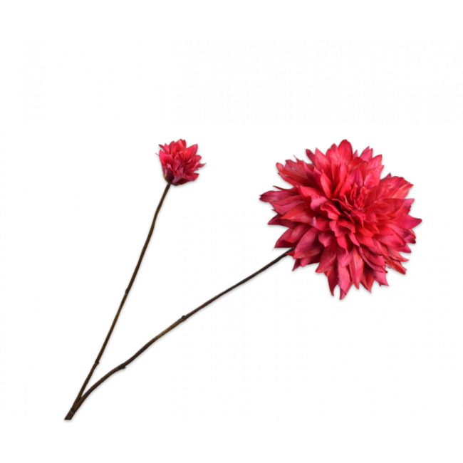 SILK-KA | Silk-ka | Dahlia Tak | Beauty | 102cm