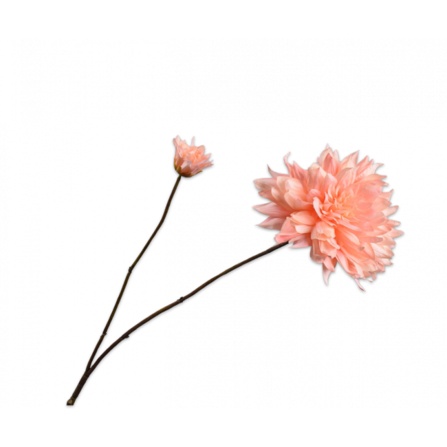 SILK-KA | Silk-ka | Dahlia Tak | Crème/Roze | 102cm