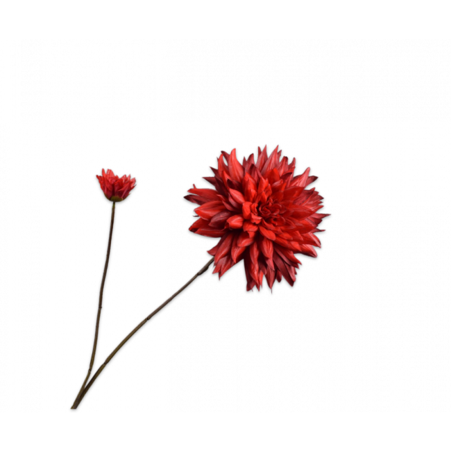 SILK-KA | Silk-ka | Dahlia Tak | Rood | 102cm