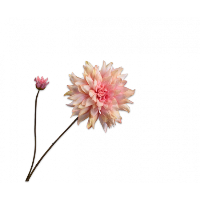 SILK-KA | Silk-ka | Dahlia Tak | Roze | 102cm