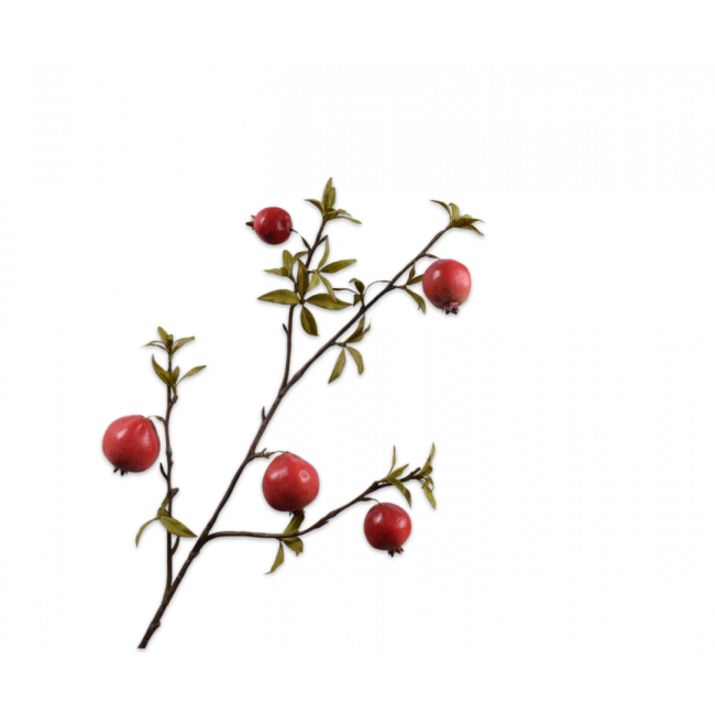 SILK-KA | Silk-ka | Granaatappel tak | Rood/Oranje | 97cm