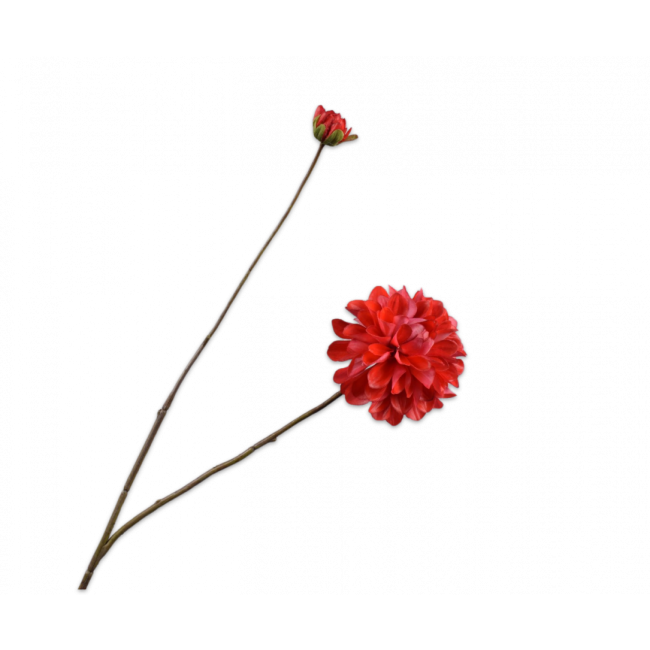 SILK-KA | Silk-ka | Dahlia Tak | Rood | 86cm