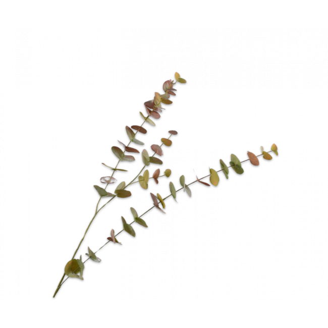 SILK-KA | Silk-ka | Eucalyptus tak | Groen | 109cm