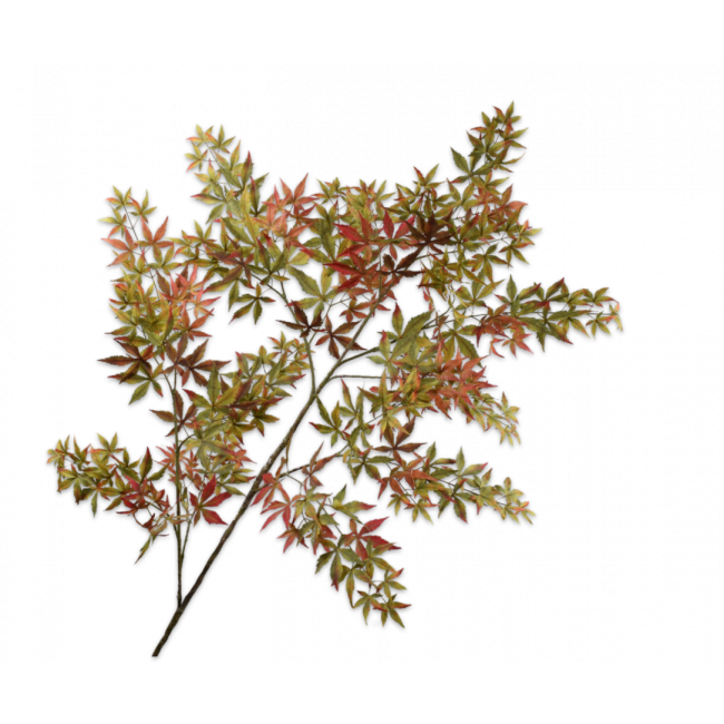 SILK-KA | Silk-ka | Esdoorn Tak | Groen/Bordeaux | 205cm