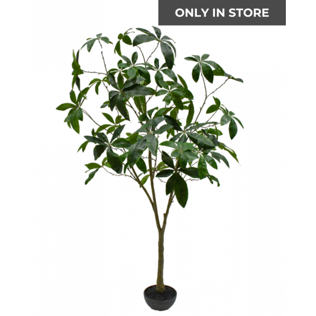 SILK-KA | Silk-ka | Pachira | Groen | 205cm | ONLY IN STORE