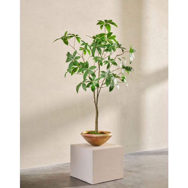 SILK-KA | Silk-ka | Pachira | Groen | 205cm | ONLY IN STORE