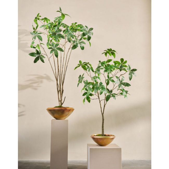 SILK-KA | Silk-ka | Pachira | Groen | 205cm | ONLY IN STORE