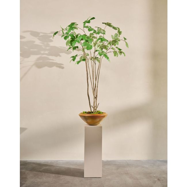 SILK-KA | Silk-ka | Kastanje I/Pot | Groen | 230cm | Only in store!