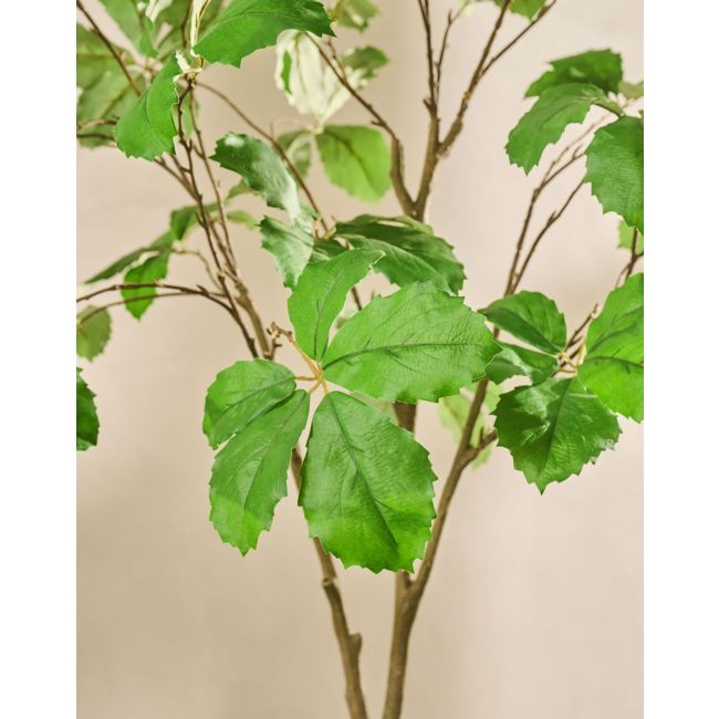 SILK-KA | Silk-ka | Kastanje I/Pot | Groen | 230cm | Only in store!